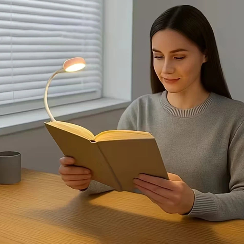 Clip-On LED Desk Book Light